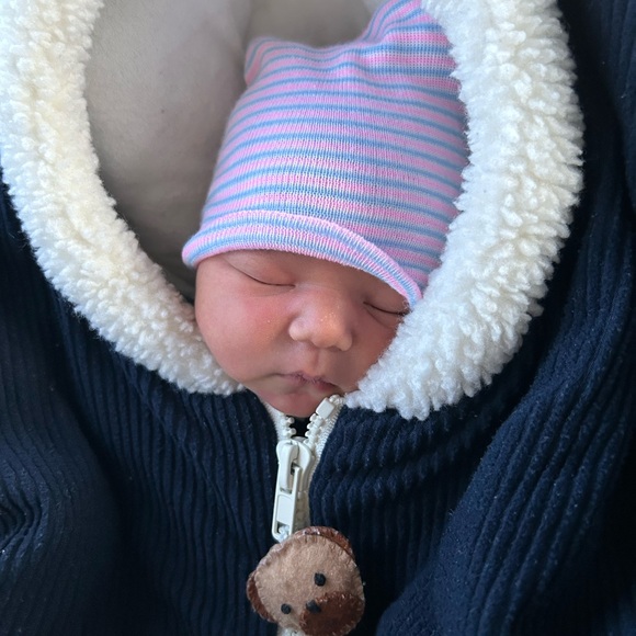 🐻Baby Gear Eskimo Wind blocker ✨ infant car seat cover w/ zipper Winter 🥶 - Picture 2 of 4